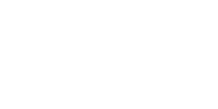 döfix DÖHLEMANN
